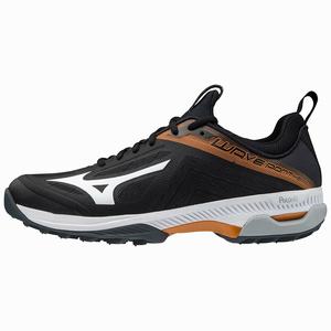 Scarpe Hockey Mizuno Wave Panthera Uomo Nere / Bianche | PFILZB295