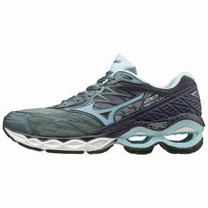 Scarpe Running Mizuno Wave Creation 20 Donna Grigie / Blu | PVDOAF072