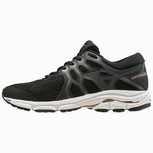 Scarpe Running Mizuno Wave Equate 4 Uomo Nere / Grigie | JECIKU057