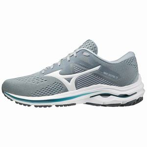 Scarpe Running Mizuno Wave Inspire 17 Uomo Grigie / Bianche | DAFOUG483