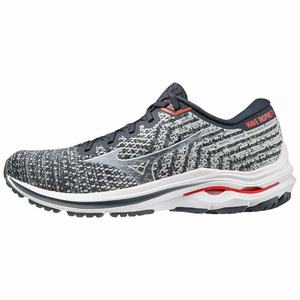 Scarpe Running Mizuno Wave Inspire 17 WAVEKNIT 2E (Wide) Uomo Grigie / Bianche | UOEZXP105