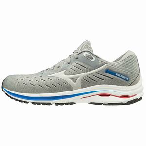 Scarpe Running Mizuno Wave Rider 24 2E (Wide) Uomo Grigie | QSNWCG765