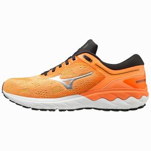 Scarpe Running Mizuno Wave Skyrise Uomo Arancioni / Nere | CROSWH378