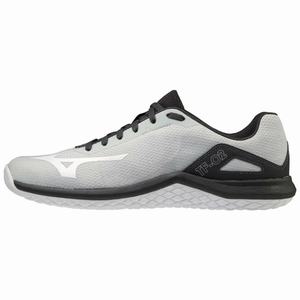 Scarpe da Allenamento Mizuno TF-02 Uomo Grigie / Nere | VPTALK582